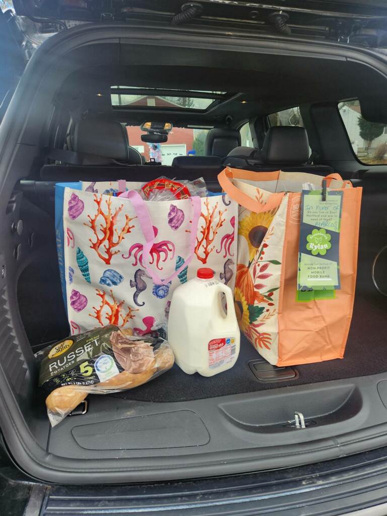 groceries in car